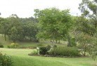 Kergunyahresidential-landscaping-40.jpg; ?>